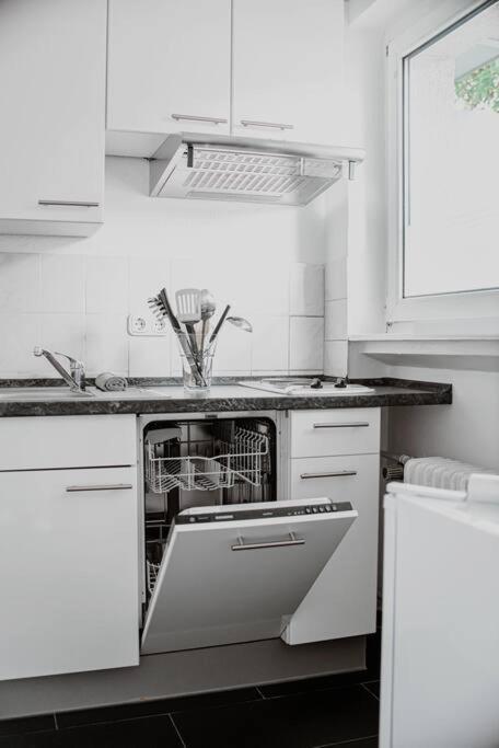 Wiesbaden - Apartment Im Nerotal מראה חיצוני תמונה